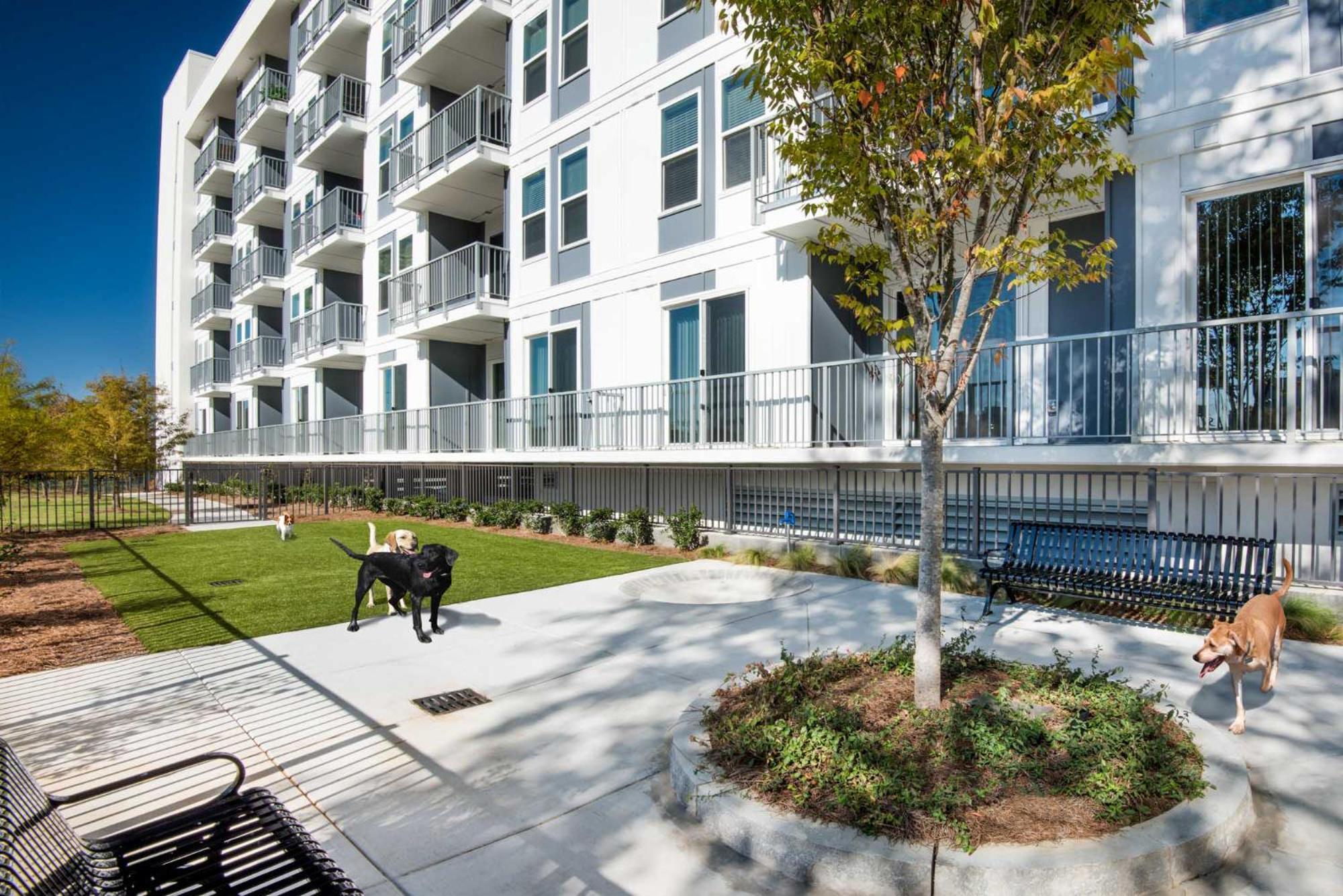 Spectacular Apartments By Bca Furnished Apartments Atlanta Quarto foto